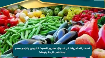 أسعار الخضروات في أسواق مطروح السبت 26 يوليو وتراجع سعر البطاطس إلى 8 جنيهات